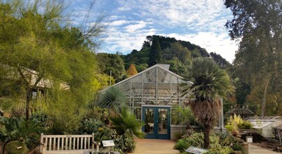 Roomy Studio Walkable to UC Berkeley with Parking