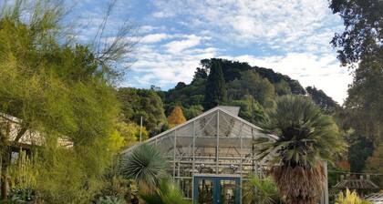 Roomy Studio Walkable to UC Berkeley w/parking