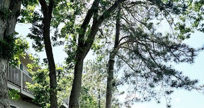 The Point - On Gull Lake