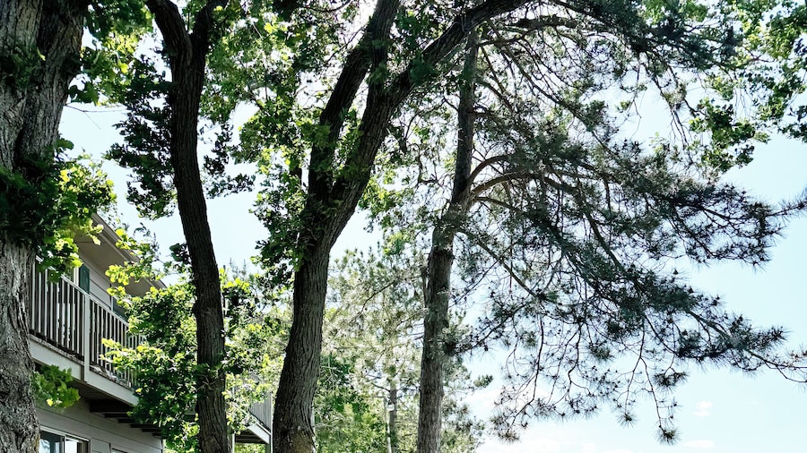 The Point - On Gull Lake