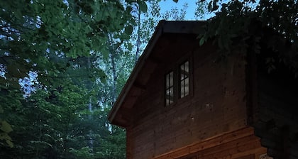 Vista Cabin East • Forest Sauna, 200 Acres • Round Lake