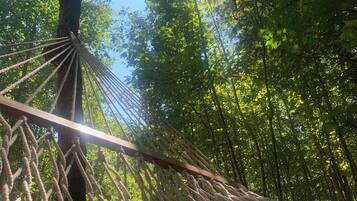 Una hamaca atada entre árboles en un bosque.
