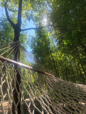 A hammock tied between trees in a forest. - ↟ Private Off-Grid Nature Spa Retreat | Luxury Vista Cabin (Killaloe)