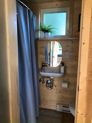 Shower, towels, toilet paper