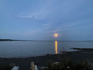 Ranta
