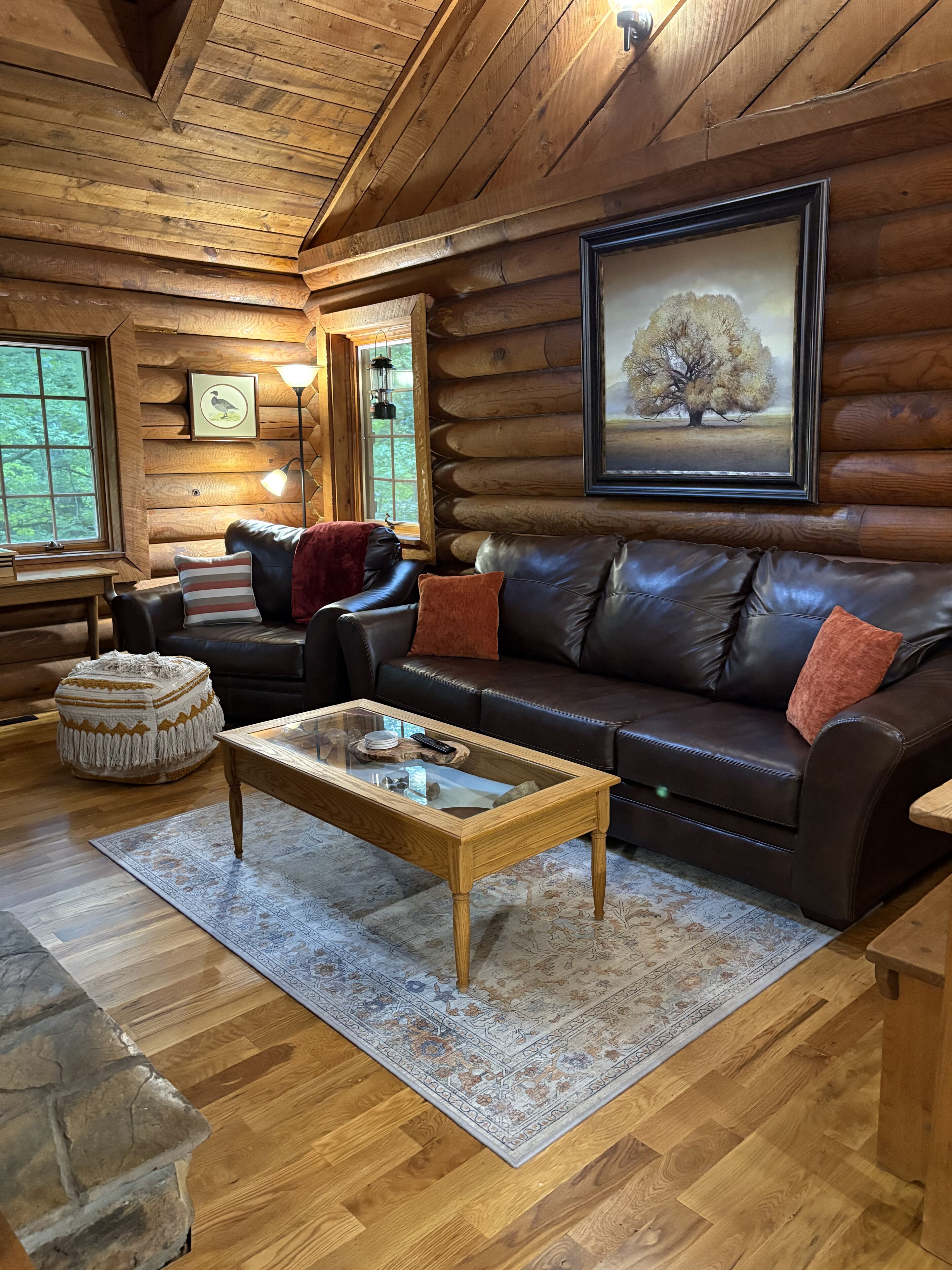 TV connectée, cheminée, livres