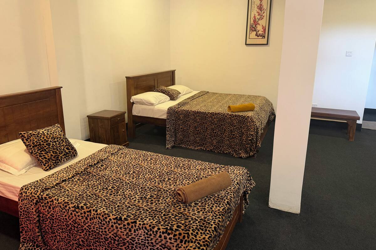 A room with two beds, each with a leopard print bedspread and matching pillows. There is a wooden bench and a small bedside table.