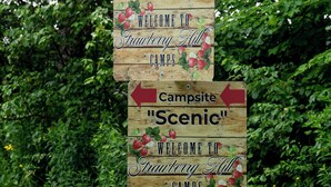 Two wooden signs on a pole, one labeled "Campsite 'Serene'" and the other "Campsite 'Scenic'". - Charming Campsite in Hartwick, NY few miles from Cooperstown & area attractions (Hartwick)