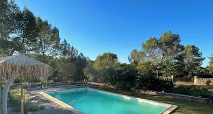 Maison familiale avec grande piscine et jardin â Calme garanti