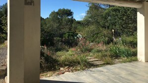 Een overdekt buitengebied met een stenen vloer, omringd door weelderige begroeiing en bomen.