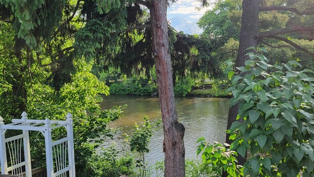 A serene outdoor area with a pond, surrounded by lush greenery and trees.