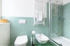 Ducha, secador de pelo, bidé y toallas