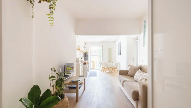 A bright, open-plan living area with a sofa, a coffee table, and a dining table. There are plants and a TV on the coffee table. - COZY NEST IN THE HEART OF VERONA (Verona)