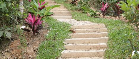 A stone pathway leading through a garden with various plants and trees.