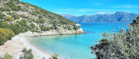 Strand