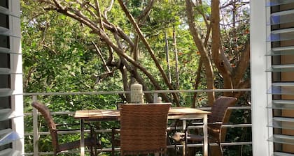 2 Bedroom 1 1/2 Bath Charming In Town Apartment with Great Jungle View Deck!