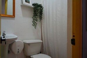 Shower, towels, soap, toilet paper
