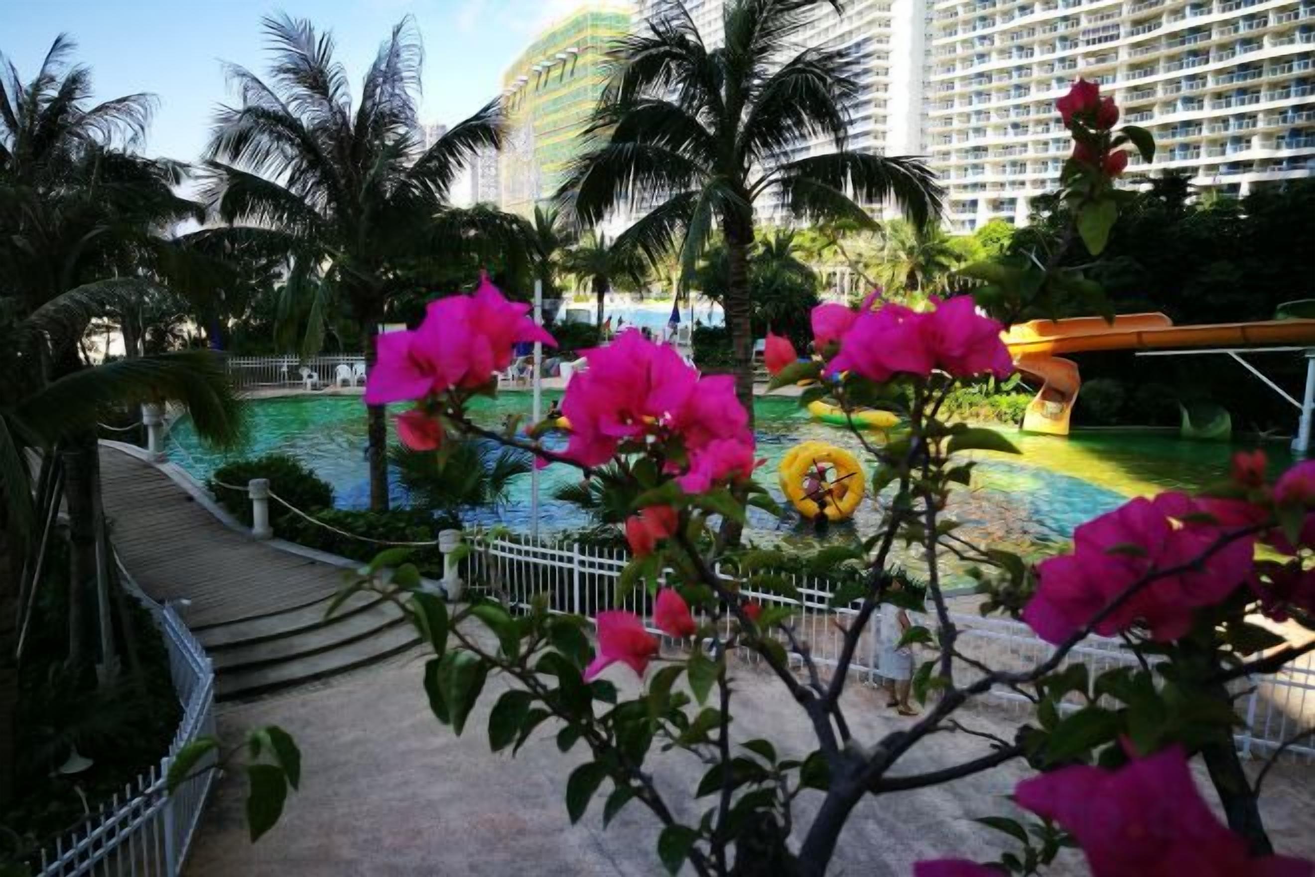 A pool area with a water slide, surrounded by palm trees and a fence.