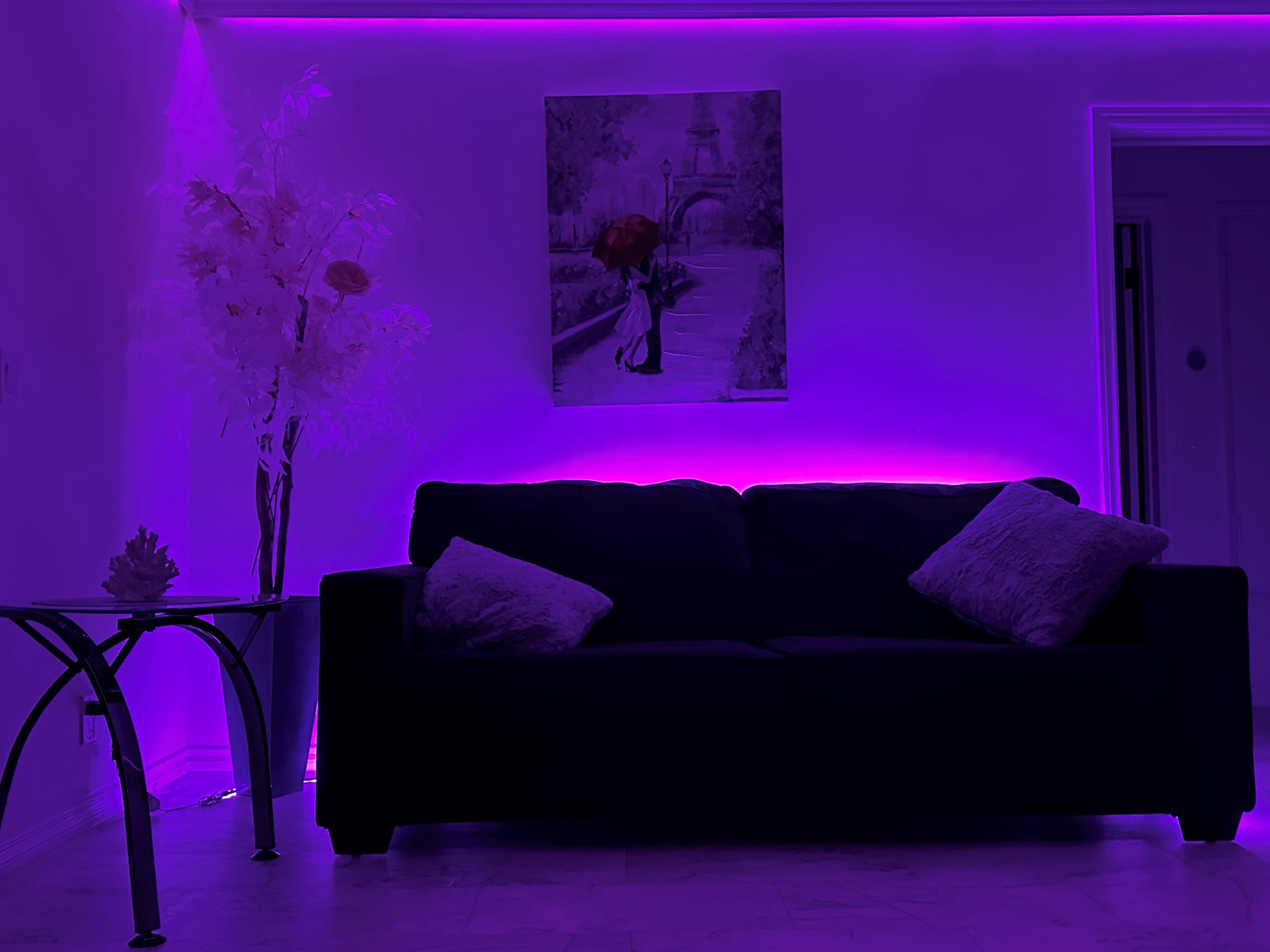 A modern living room with a dark sofa, two cushions, a small side table with a plant, and a framed picture on the wall.