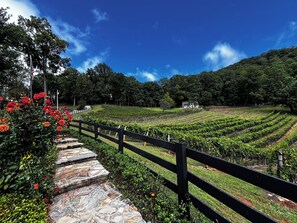 Property grounds - CharMing 2-BeD CoZy CaBin w-WiFi, AC & FiRe PlaCe, CenTraL to 3 LoCal MTN.Towns  (Franklin)