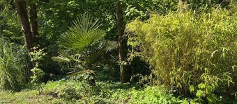 Luxury 8-person villa in the Hardelot pine forest