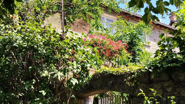 Un puente de piedra con una valla blanca, rodeado de abundante vegetación y plantas en flor.
