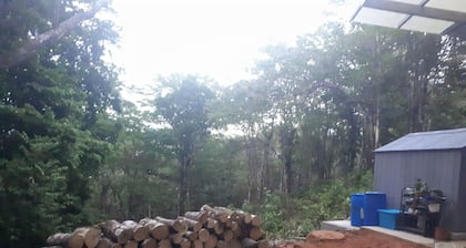 Cozy Tiny House in enchanting Panamá with WiFi