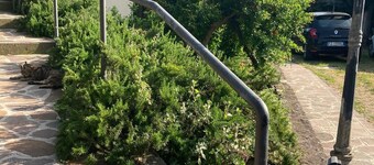 Charming villa near Rome, accommodation 2