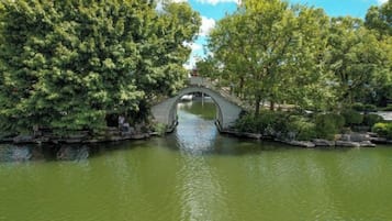 Un pont de pierre enjambant une étendue d’eau paisible, entouré d’une végétation luxuriante.