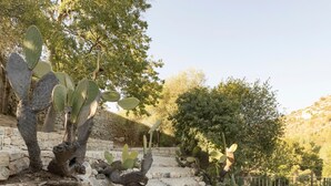 Un espacio al aire libre con rocas, cactus y un banco de madera.