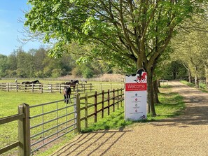 صورة غير مصنفة، 3 من 24، زرّ