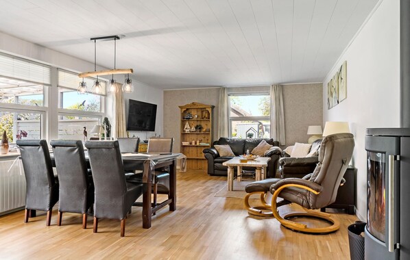 Smart-TV, Kamin