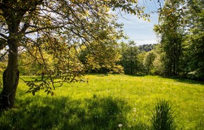 Overnatningsstedets område