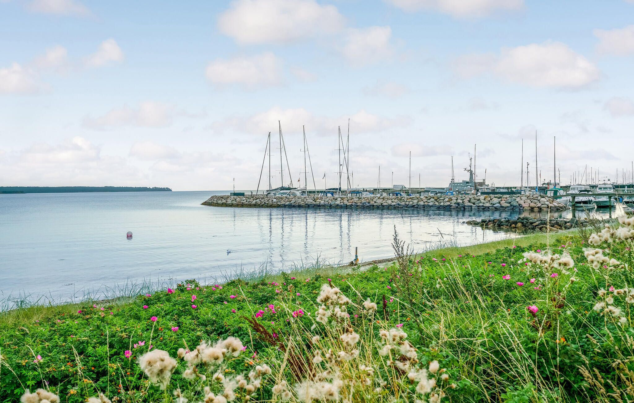 Un port de plaisance où sont amarrés de nombreux voiliers, une digue rocheuse et une zone herbeuse parsemée de fleurs sauvages.