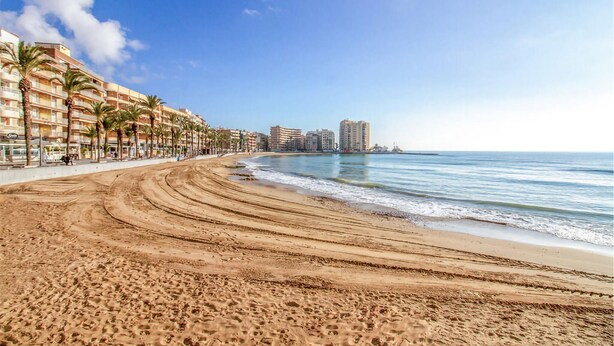A wide sandy beach with a clear blue sky, palm trees, and high-rise buildings in the background. - Pet friendly apartment in Torrevieja with WiFi (Torrevieja)