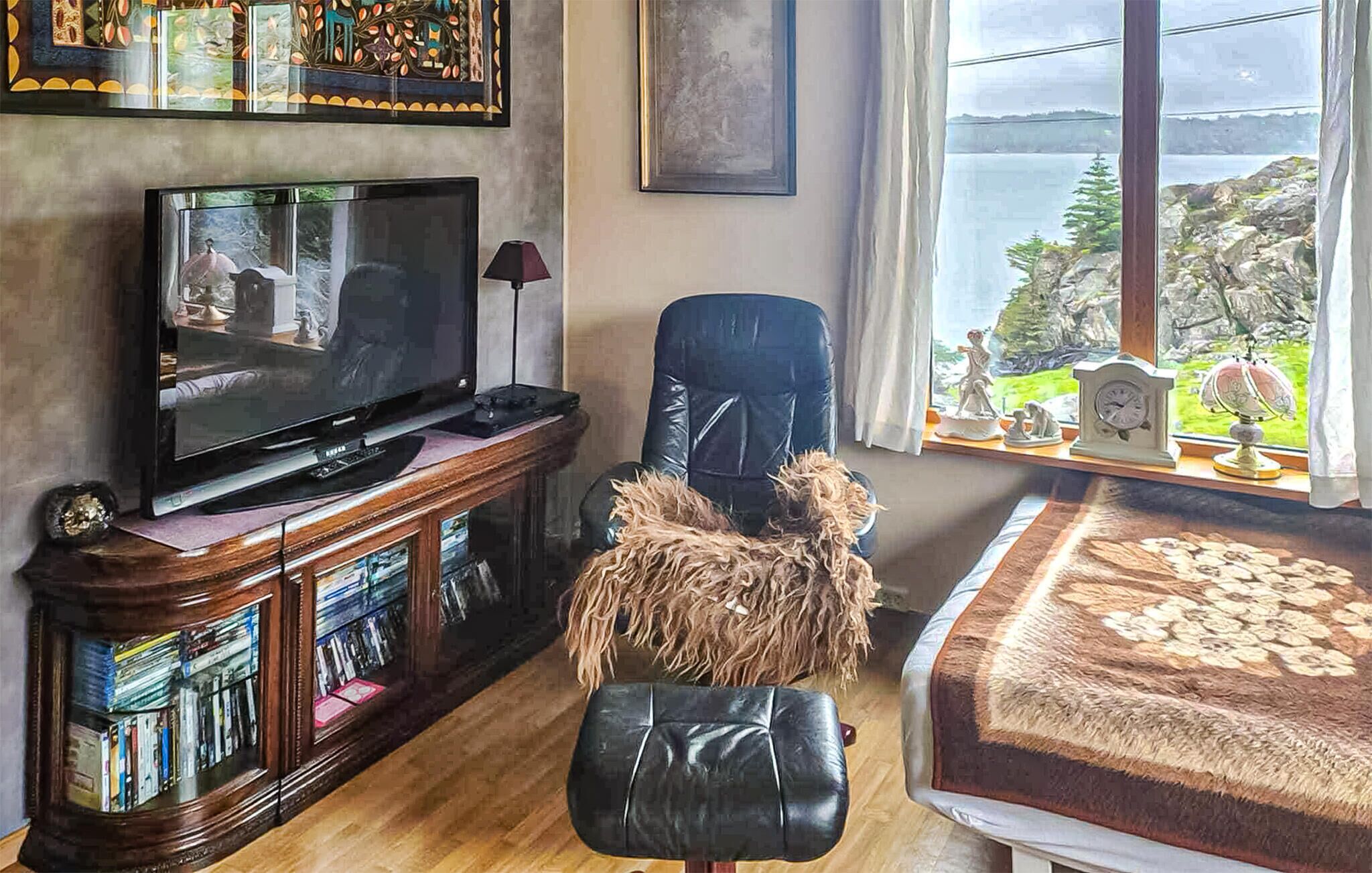 Un salon avec un téléviseur, un fauteuil en cuir, un petit chien, une bibliothèque et une vue sur un lac.