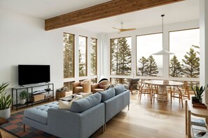 Smart TV, fireplace, books