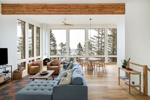 Smart TV, fireplace, books