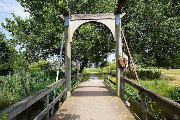 Property grounds - Waterfront holiday home with in green area Alde Feanen nature park (Earnewâld)