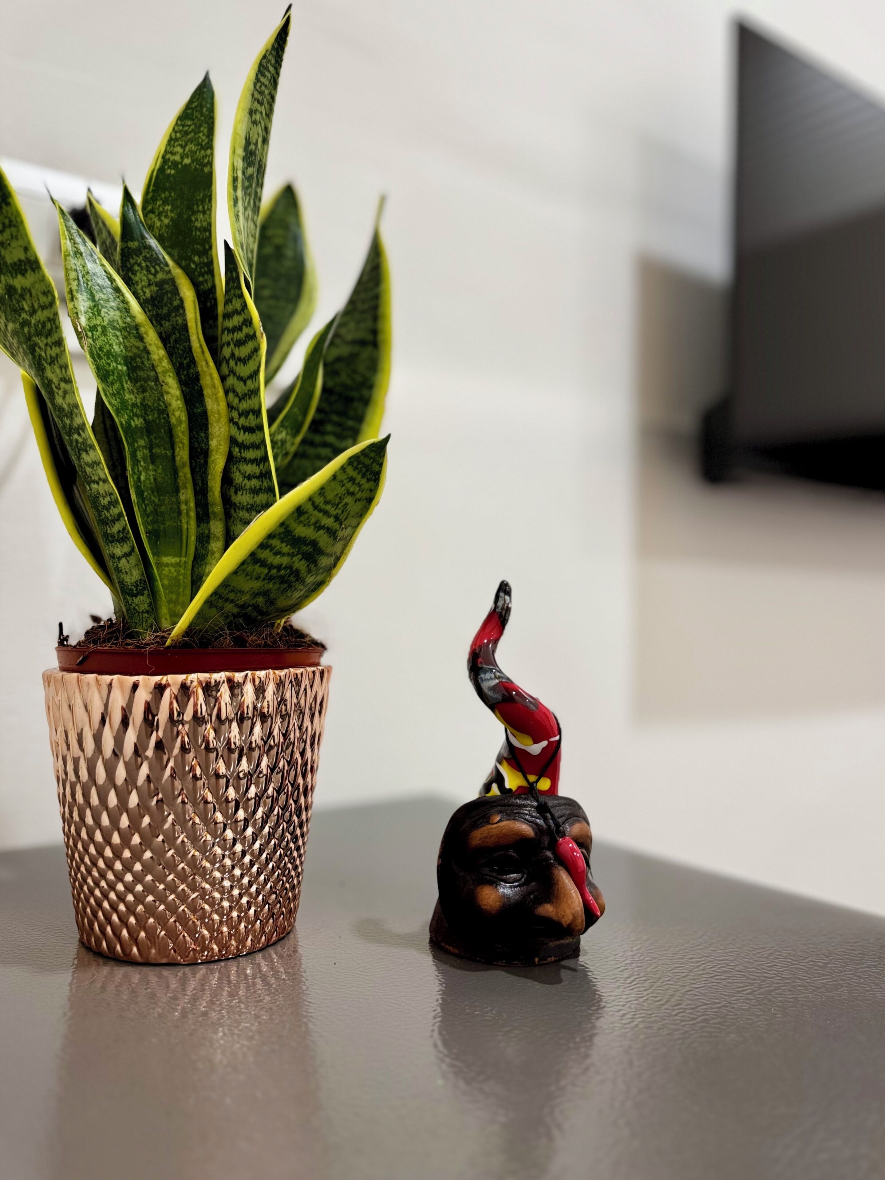 A potted plant with variegated leaves and a small figurine on a table.
