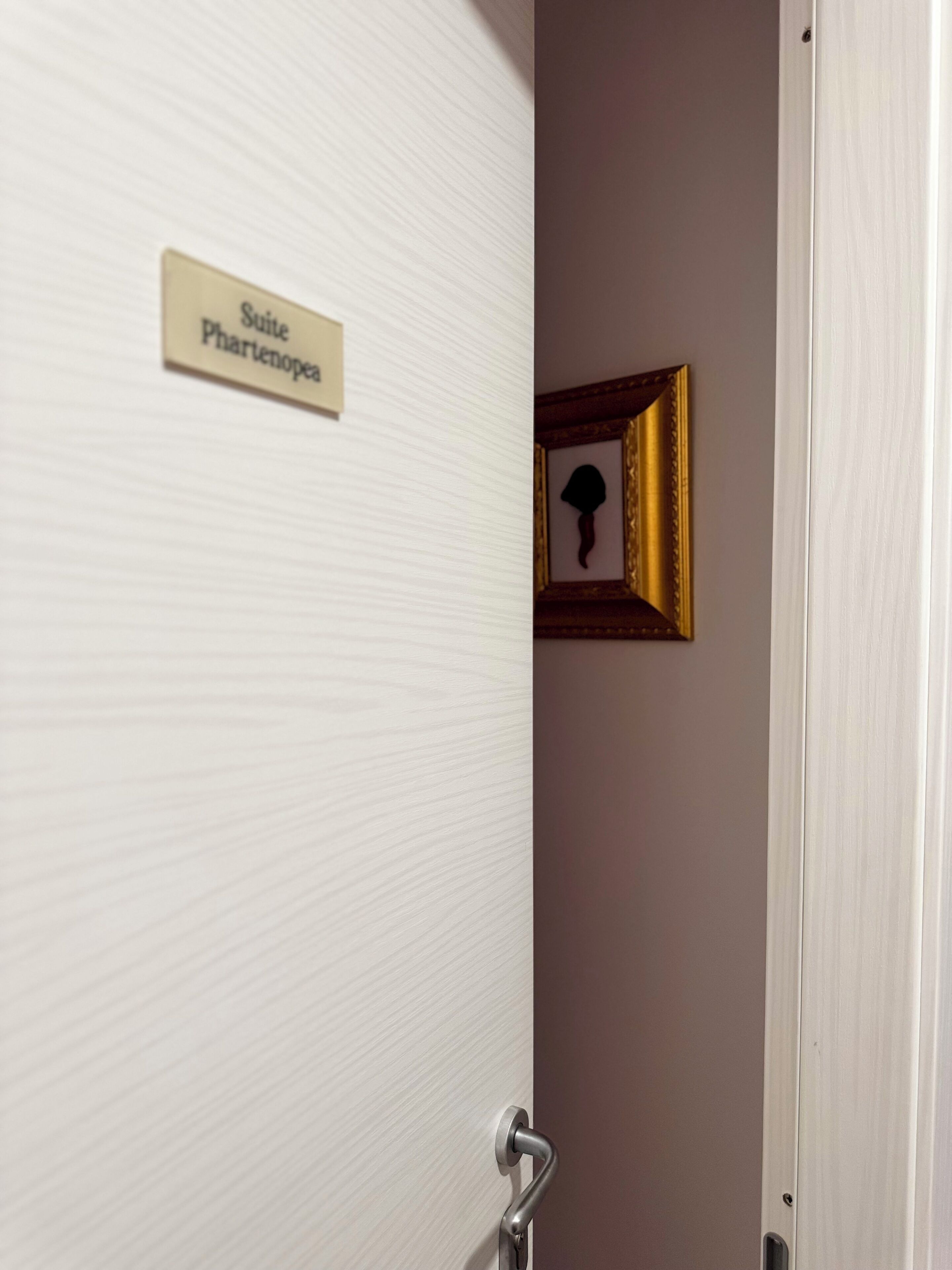 Una puerta con un letrero que dice 'Salle Pharnéopea' y un cuadro enmarcado en la pared.