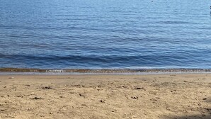 Une plage avec un rivage sablonneux et une eau calme.