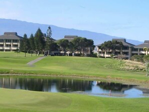 Golf - Peaceful golf retreat with shared pools (Waikoloa Village)