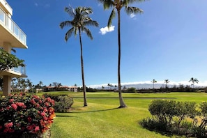 Golf - Mountain & Golf views, Pool & Hot tub, Near beach (Waikoloa Village)