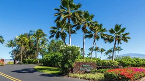 Property grounds - Pools/Hot tub, BBQ area, Beach gear, Views, Tennis (Waikoloa Village)