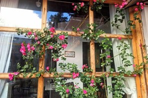 A wooden window frame with climbing roses. - Lijiang Shu He Shangshanruoshui Inn (Lijiang)