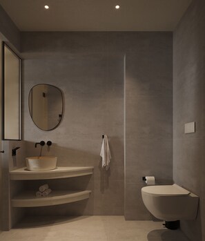 Shower, hair dryer, bidet, towels