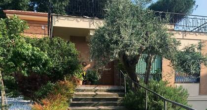Charming villa near Rome, 1