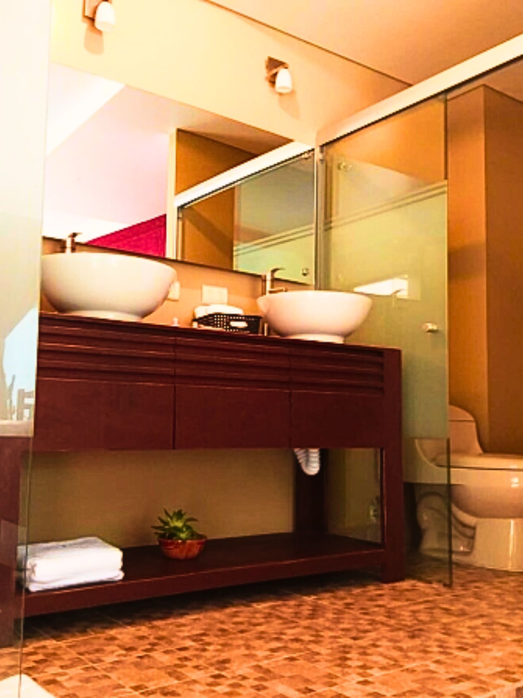 Ducha, bidet, toallas, jabón