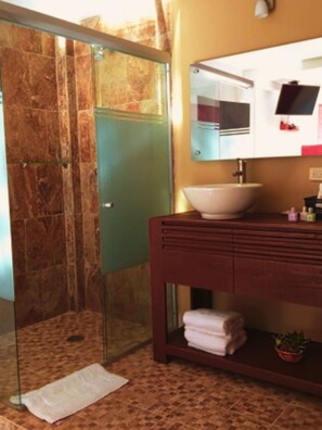 Shower, bidet, towels, soap